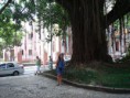 /album/fotogaleria/plaza-frente-a-catedral-de-florianapolis-2-jpg/